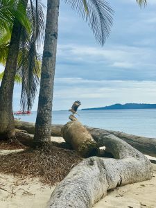 Coiba National Park - Panama