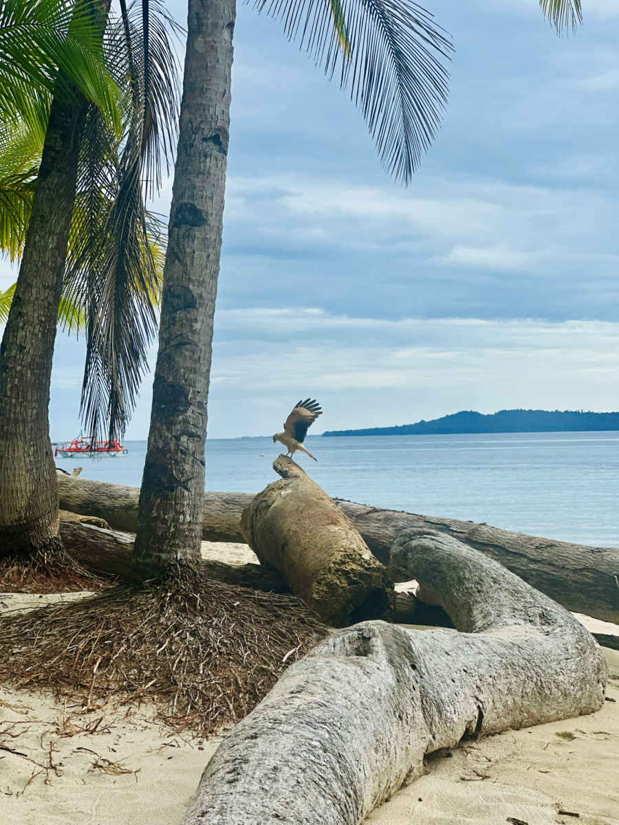 Coiba National Park - Panama