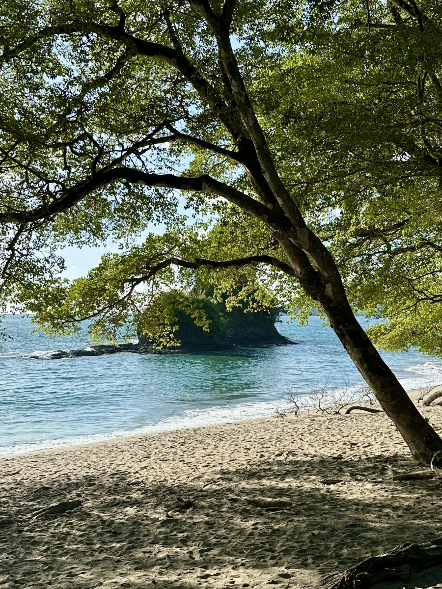 Manuel Antonio National Park