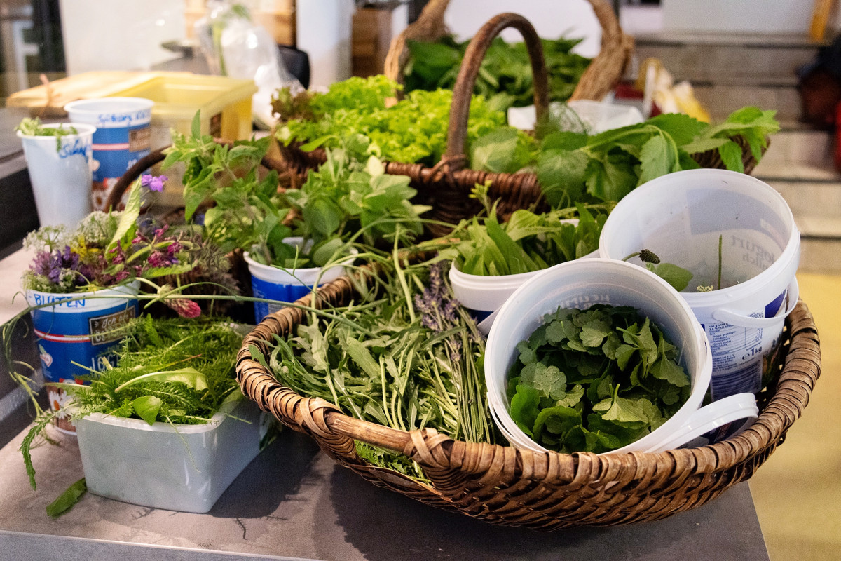 Wildkraeuter - Es wird sortenrein gesammelt