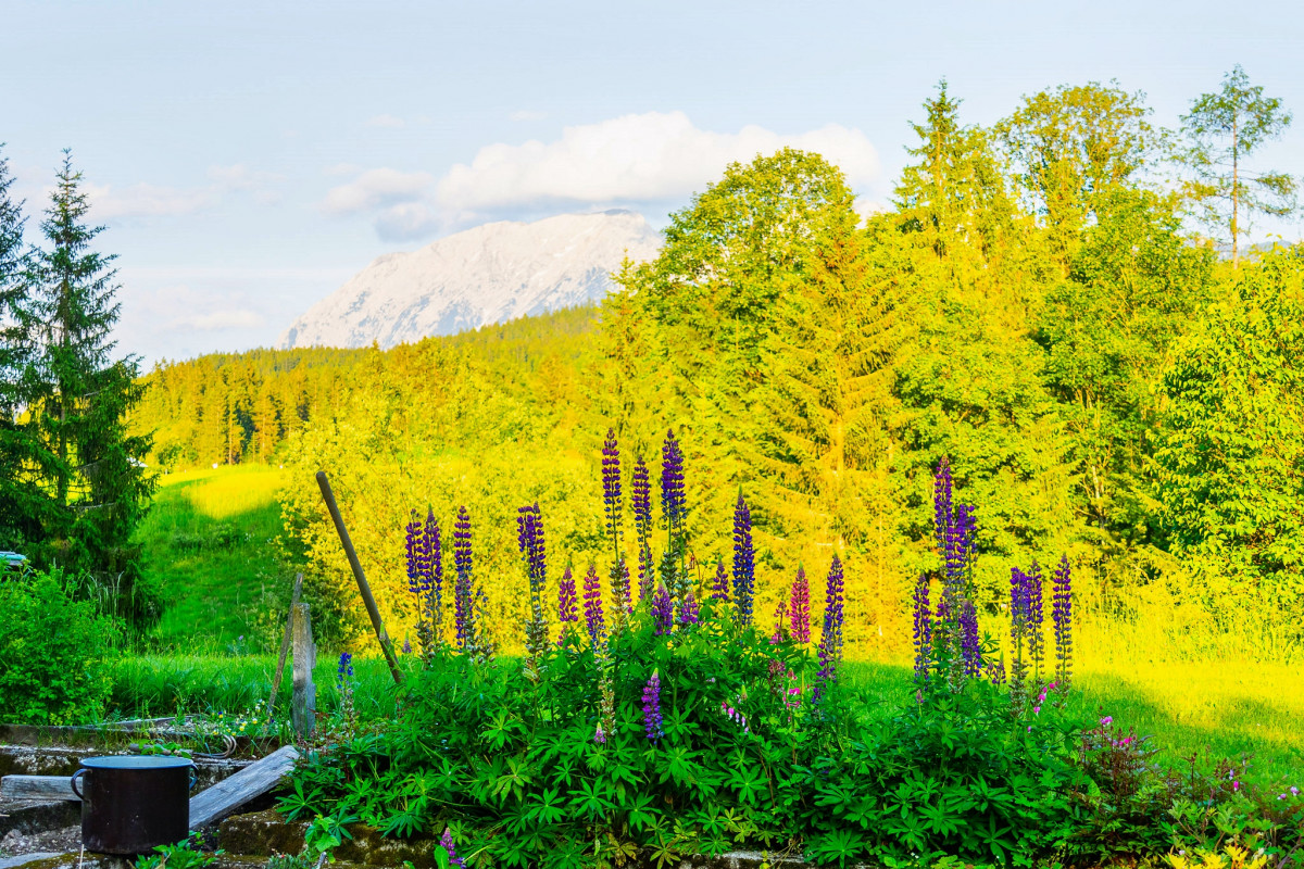 Impressionen Bad Ausse