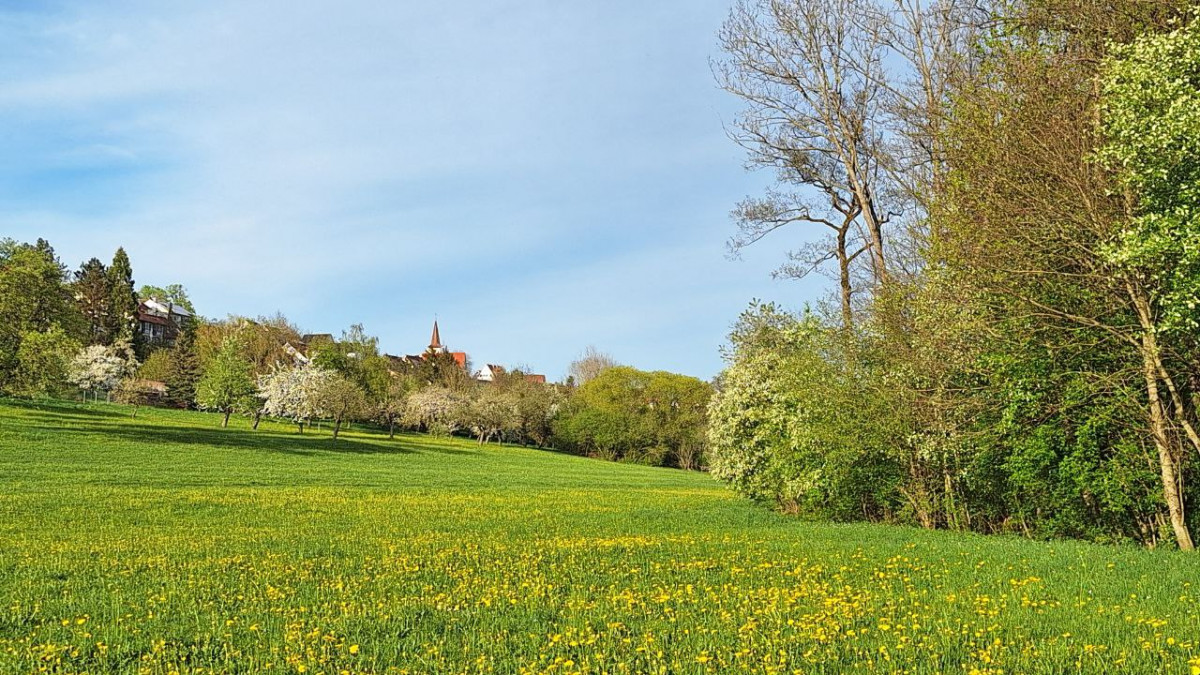 Sammelspaziergang Weil im Schönbuch Blick aufs Dorf