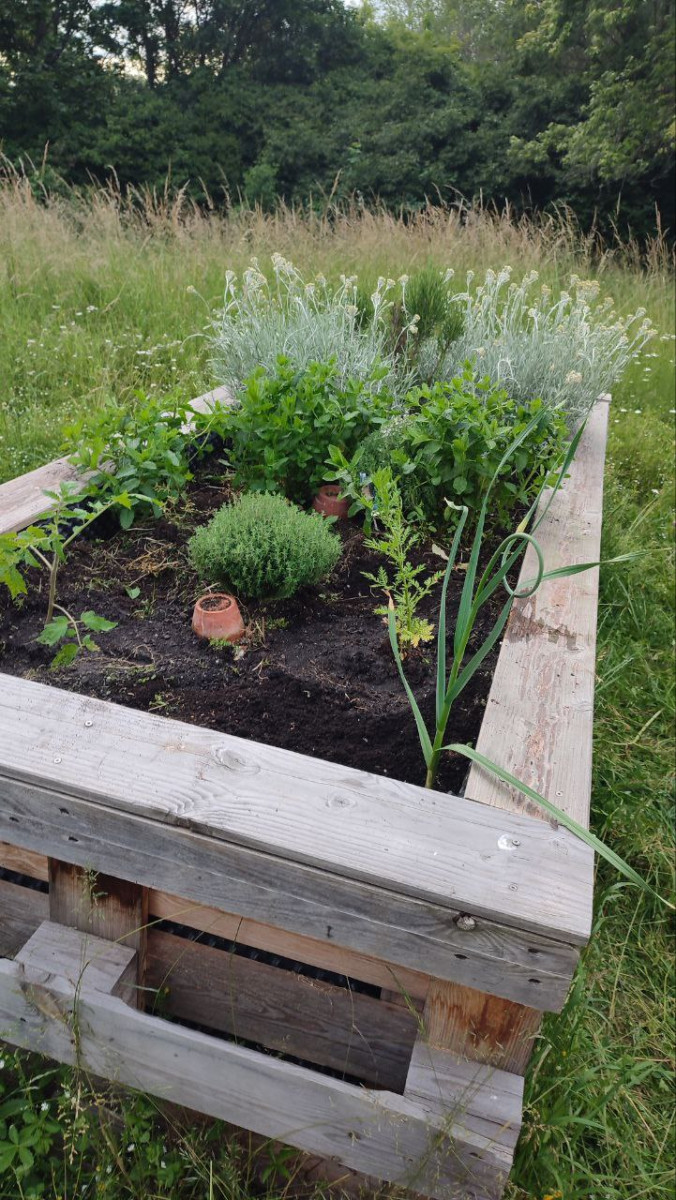 Hochbeet fertig bepflant