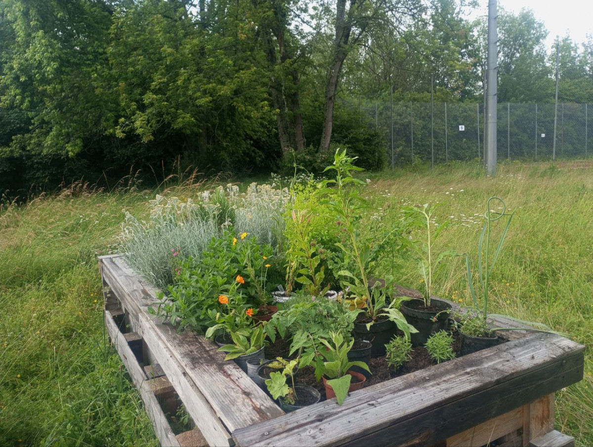 Hochbeet und Vorbereitung Tag der offenen Tür